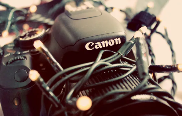 Camera, the camera, garland, canon