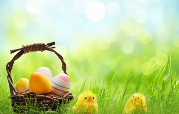 Grass, basket, chickens, eggs, spring, Easter, holidays, bokeh