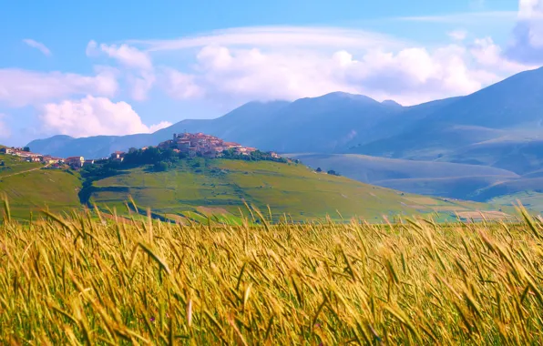 Field, Italy, Tuscany