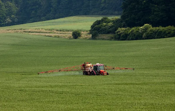 Road, greens, field, forest, grass, trees, tractor, work