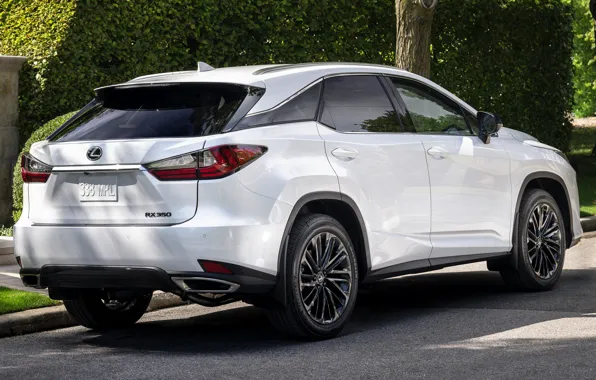 USA, crossover, exterior, Lexus RX, Lexus RX Moonlight Edition, Moonlight Edition