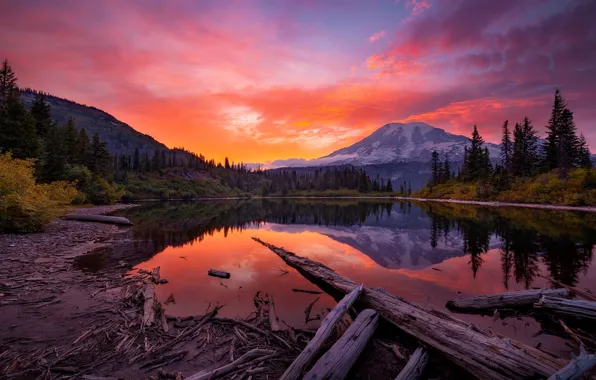 Forest, the sky, trees, sunset, mountains, lake, reflection, National Park
