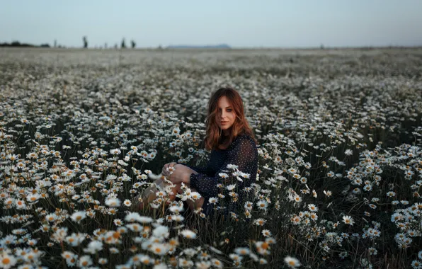 Picture field, summer, look, girl, nature, pose, photo, chamomile