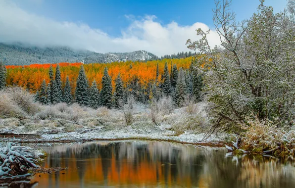 Autumn, mountains, lake, Colorado, USA, Aspen