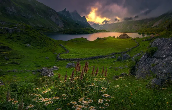 Greens, summer, grass, clouds, flowers, mountains, lake, stones