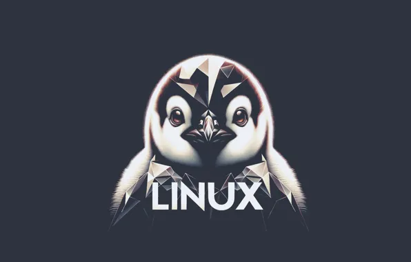 Picture Linux, animals, minimalism, digital art, simple background, penguins, looking at viewer, peak