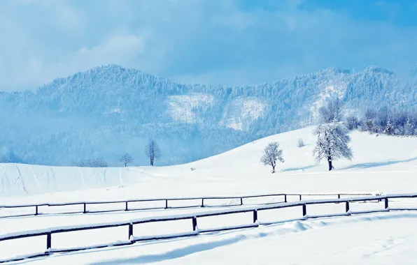 Winter, road, snow, trees, traces, hills, railings