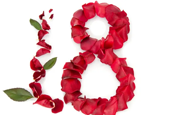 Roses, petals, red, white background, leaves, March 8, congratulations, women's day