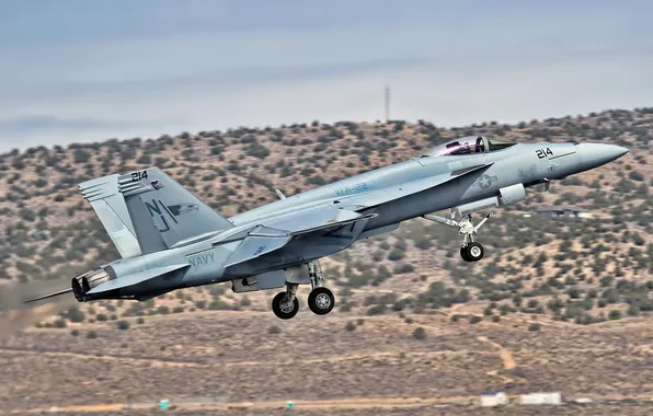 Weapons, the plane, FA-18E Super Hornet