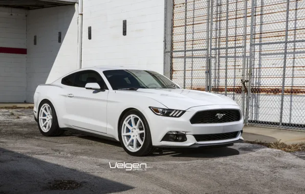 Picture Mustang, Ford, Wheels, VMB8, Velgen, Eco, Boost, 20x9 &ampamp; 20x10.5