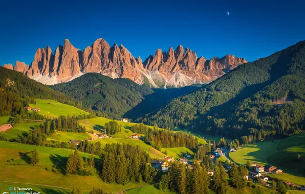 Forest, trees, landscape, mountains, Alps