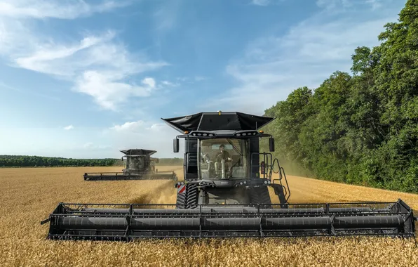 Wheat, field, harvester, harvesters