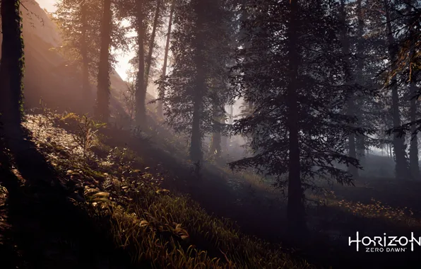 Playstation 4, Guerrilla Games, Horizon Zero Dawn