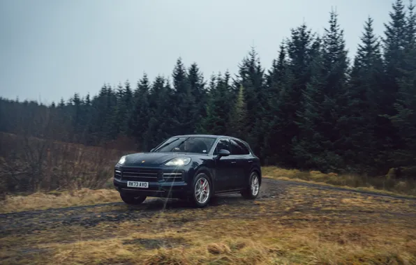 Porsche, Cayenne, Porsche Cayenne S