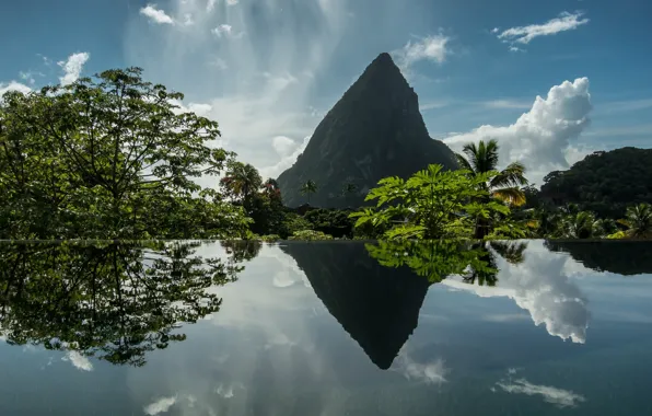 Picture water, trees, reflection, mountain, Soufriere, Caribbean, Saint Lucia, Celebrate