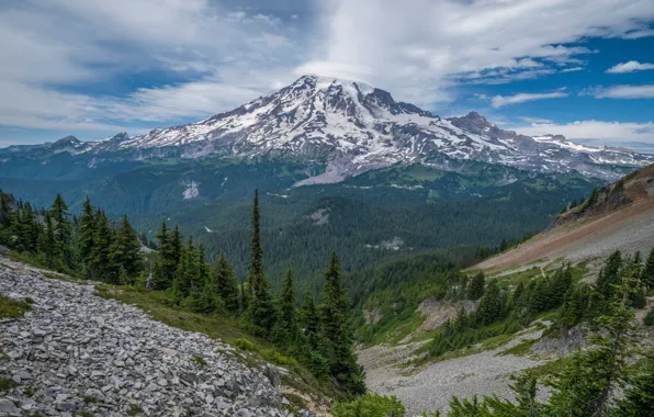 Picture mountains, USA, parks, Mount Rainier National Park