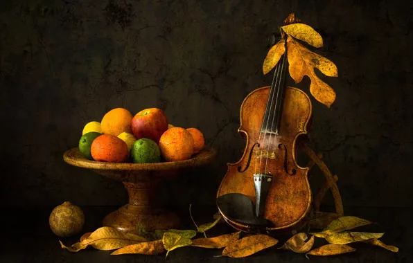 Picture leaves, violin, fruit, Autumn Mood