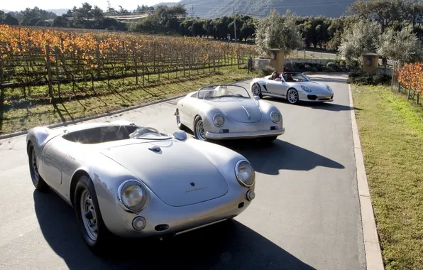 Glare, Roadster, 2010, porsche, Porsche, Boxster, Spyder, the vineyards