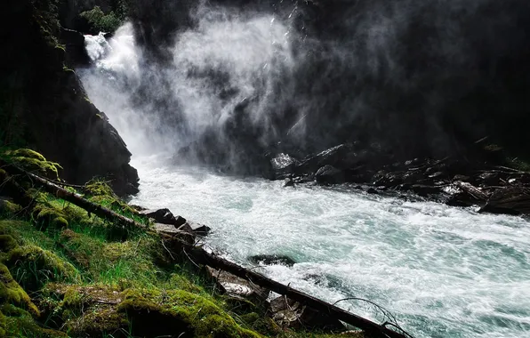 Forest, river, moss, stream, couples, mountain