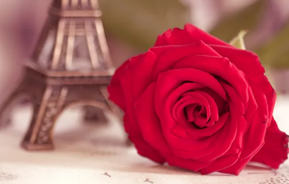 Flower, macro, Eiffel tower, rose, blur, figurine, scarlet