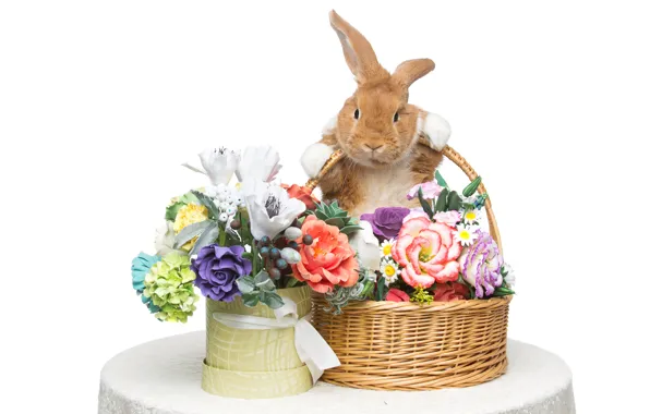 Picture flowers, basket, rabbit, Easter, happy, rabbit, flowers, spring