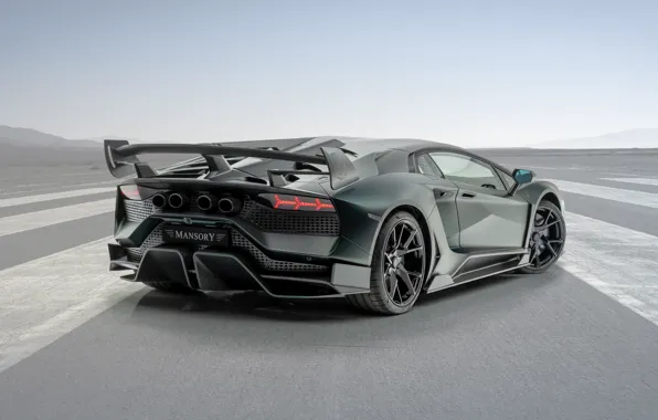 Lamborghini, supercar, Aventador, Mansory, 2020, SVJ, Cabrera