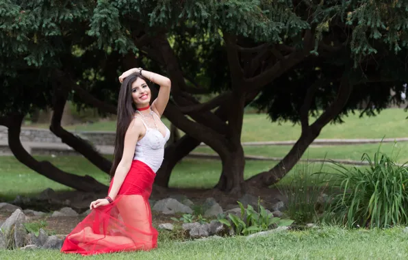 Picture look, pose, smile, hair, brunette, beauty, Mariana