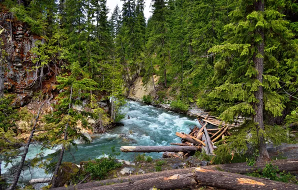 Picture forest, trees, mountains, nature, river, stones, log, thresholds