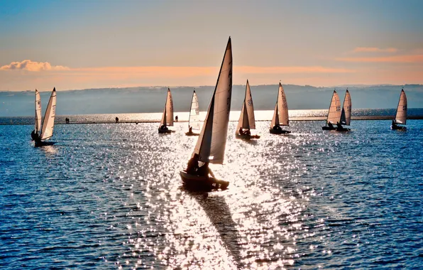 Picture sea, sport, Shine, boats, sailboats
