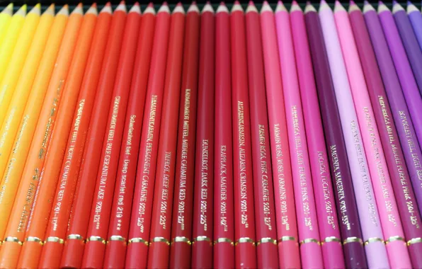 Red, pink, colorful, a lot, lilac, lie, shades, bokeh