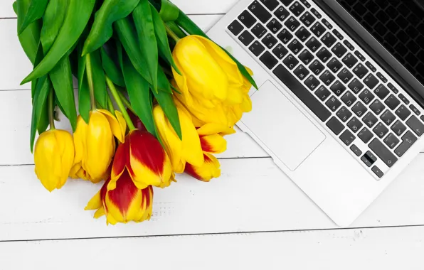 Flowers, bouquet, colorful, tulips, laptop, flowers, romantic, tulips