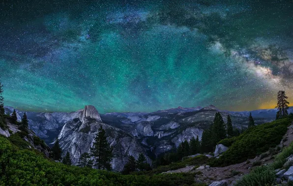 Picture forest, the sky, stars, landscape, mountains, night, Park, Nature