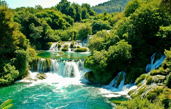 Picture greens, trees, waterfall, Sunny, Croatia, Croatia, Krka National Park