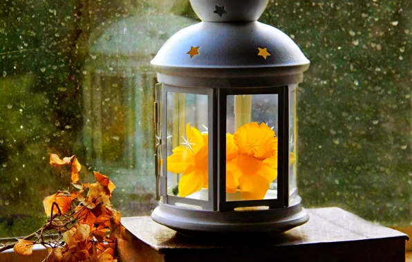 Picture autumn, flower, leaves, drops, spring, window, lantern, flower