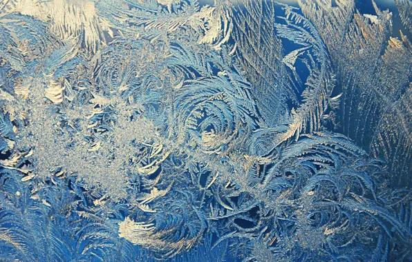Picture winter, glass, macro, patterns, window, frost