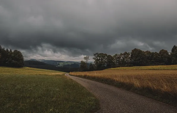 Road, field, forest, clouds, dal, gloomy sky