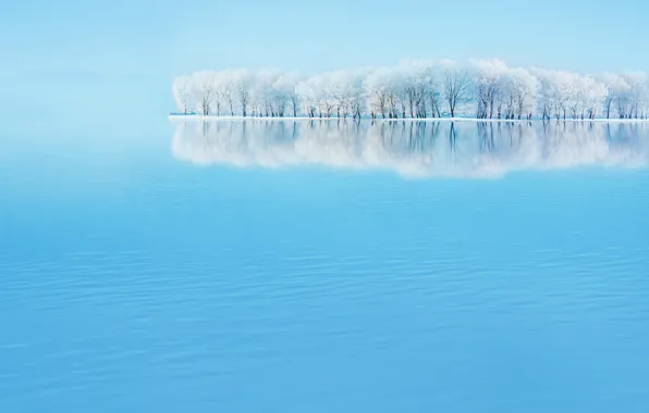 Picture winter, landscape, sky blue