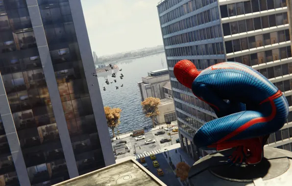 Roof, the city, skyscraper, spider, hero, spider man, marvels spider man