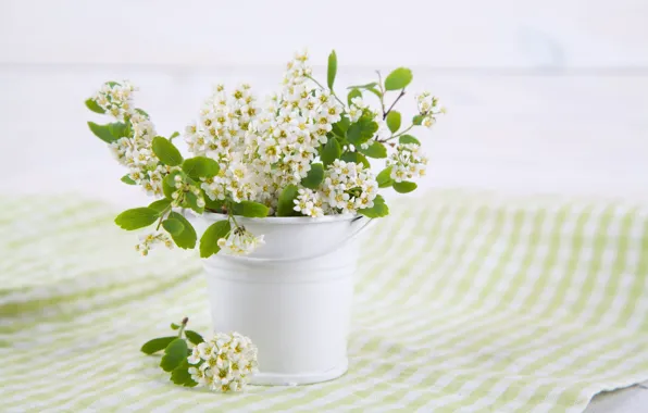Flowers, branches, cherry, spring, bucket