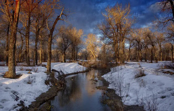 Picture winter, forest, clouds, river