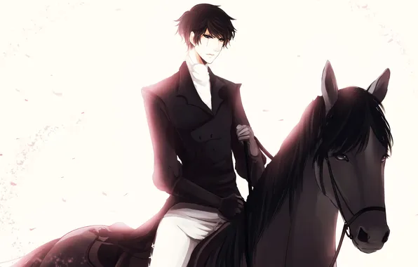 Picture horse, petals, Guy, scar