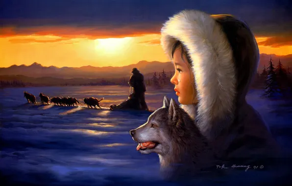 Picture winter, dogs, art, girl, team, Tok Hwang