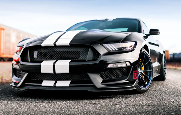 Wallpaper Mustang, Ford, Shelby, GT350, Ford Mustang Shelby GT350 ...