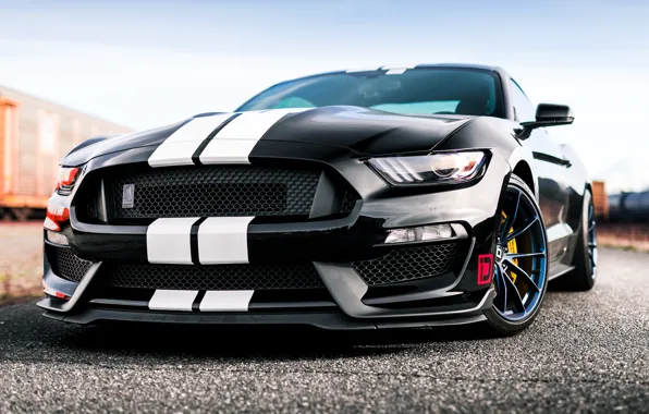 Mustang, Ford, Shelby, GT350, Ford Mustang Shelby GT350