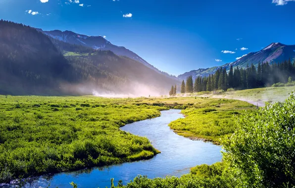 Forest, the sky, grass, trees, mountains, fog, river, meadows
