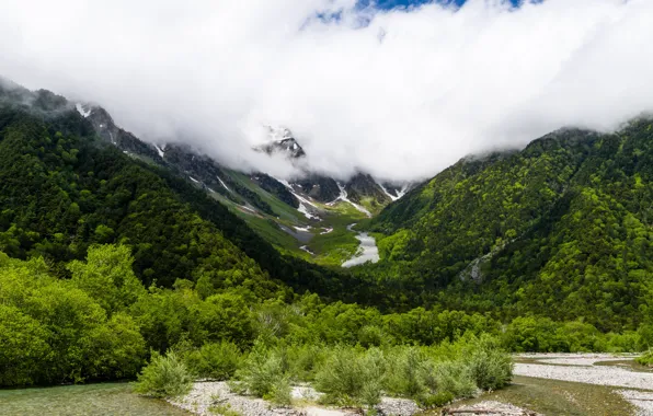 Picture clouds, trees, mountains, stream, stones, valley, the bushes