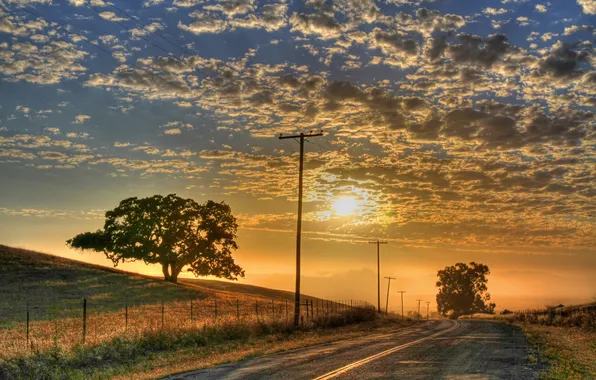 Road, trees, dawn, morning