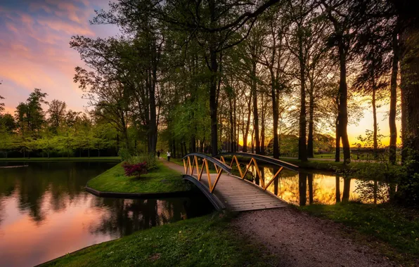 Trees, landscape, sunset, nature, pond, track, Netherlands, the bridge
