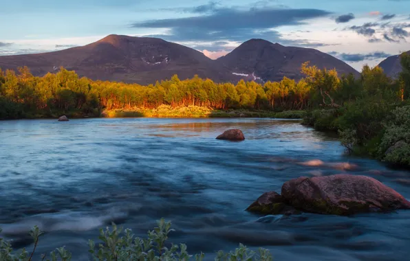 Picture forest, summer, clouds, light, mountains, hills, shore, pond