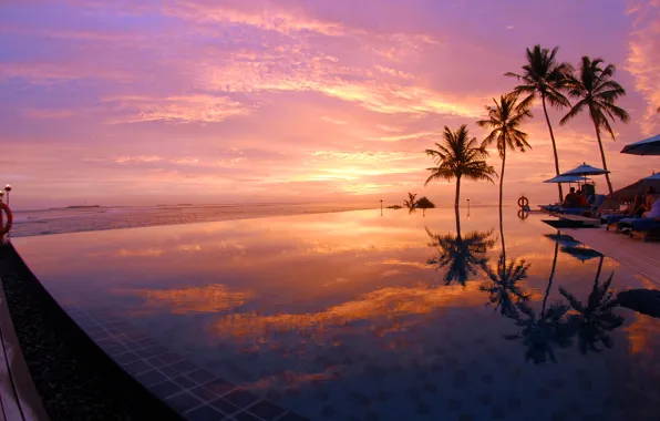 Palm trees, the ocean, the evening, pool, Maldives